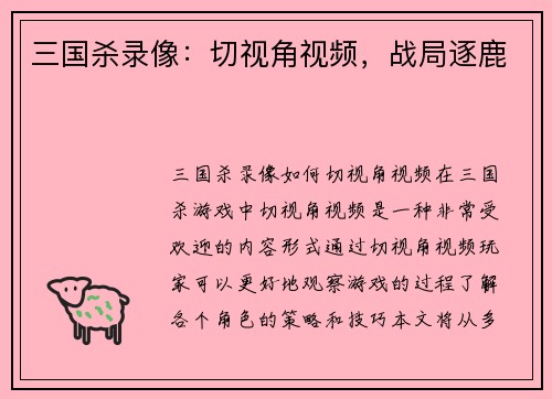 三国杀录像：切视角视频，战局逐鹿